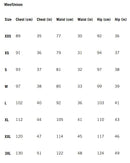 Ayrton Senna McLaren World Champion Special Edition T-Shirt